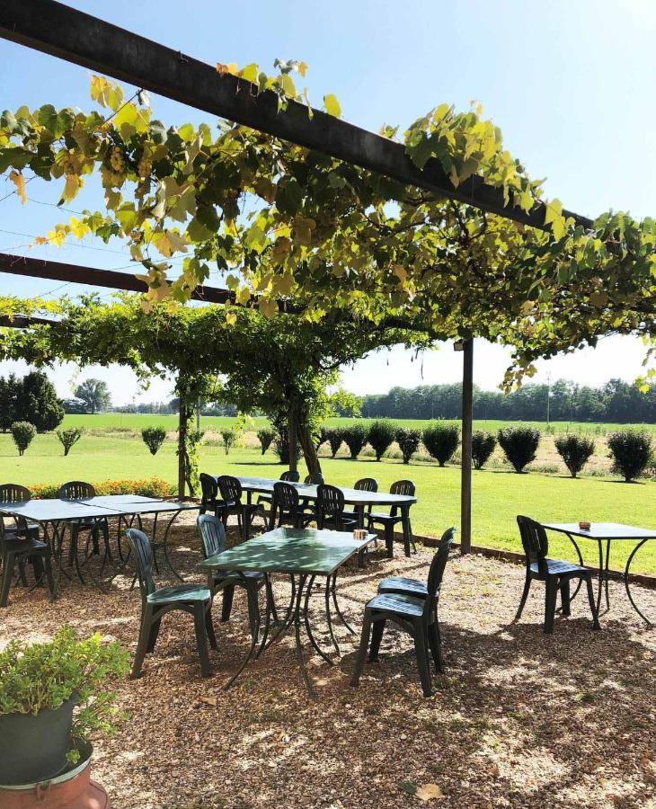 Agriturismo Le Colombaie Busseto Exterior foto